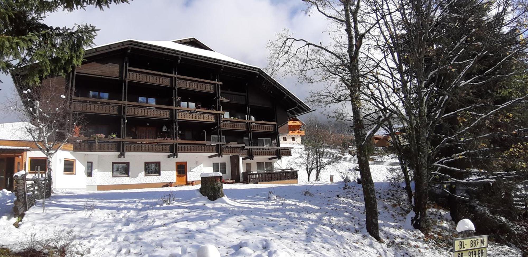 Fewo Brunnach By Isa Badkleinkirchheim Bad Kleinkirchheim Extérieur photo